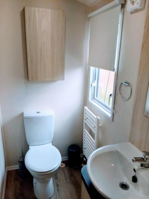 Large 4 Person Couples And Family Caravan In Newquay Bay Resort Exteriör bild